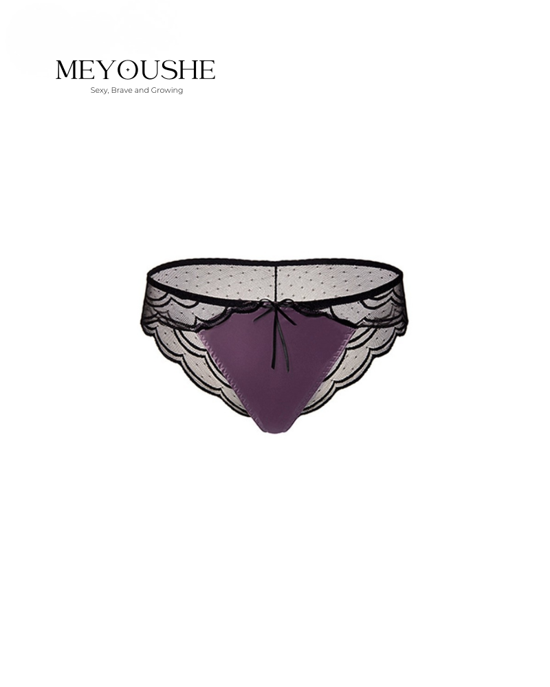 Astra – Satin Lace Sheer Panties for Women | Sexy Erotic Lingerie MEYOUSHE