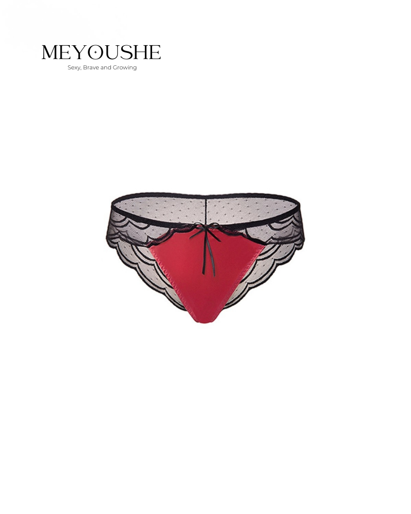 Astra – Satin Lace Sheer Panties for Women | Sexy Erotic Lingerie MEYOUSHE